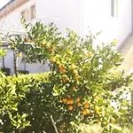 Marica 1 * Krk Town