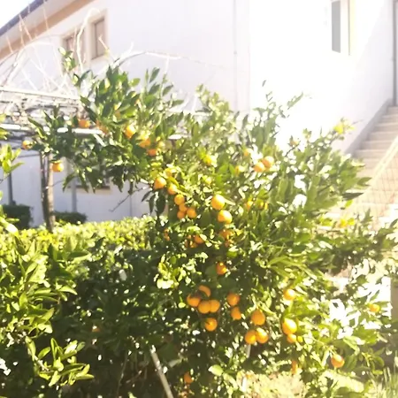 Marica 1 * Krk Town